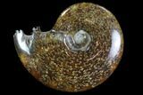 Polished, Agatized Ammonite (Cleoniceras) - Madagascar #97275-1